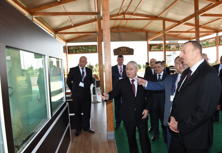 Президент Ильхам Алиев ознакомился с двумя выставками в Баку - ОБНОВЛЕНО - ФОТО