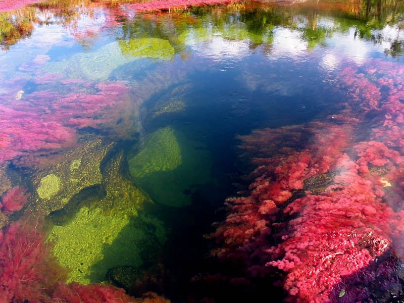8 самых красивых водных ландшафтов мира - ФОТОСЕССИЯ