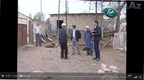 Стая волков держит в страхе азербайджанское село - ОБНОВЛЕНО - ВИДЕО
