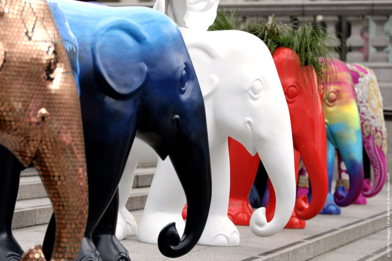 "Картинная галерея Day.Az": Необычные скульптуры слонов - ФОТО