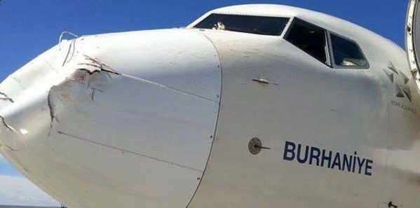 Стая птиц оставила турецкий самолет без носа - ФОТО