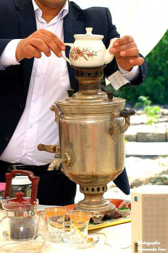 Представители САМУ посетили "Чайное состояние" в Херсонской области - ФОТО