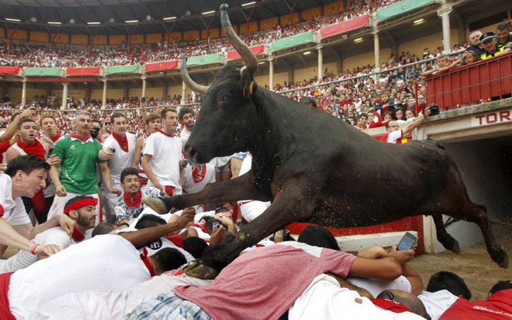 Опасное развлечение - в Испании начались забеги с быками - ФОТОСЕССИЯ