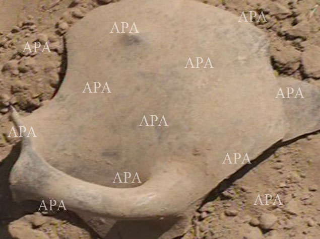 В Азербайджане обнаружен некрополь возрастом свыше 3 тысяч лет – ФОТО