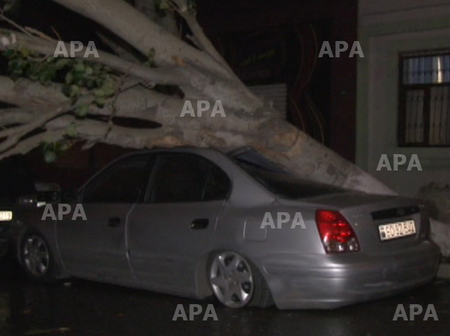 Ветер нанес серьезный ущерб автомобилям в Баку - ОБНОВЛЕНО - ФОТО