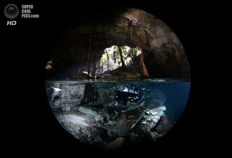 Победители конкурса подводной фотографии 2014 года - ФОТОСЕССИЯ