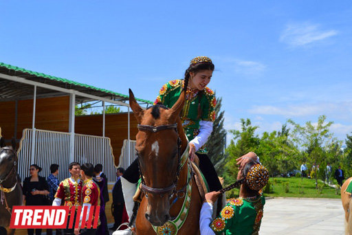 Ахалтекинцы: гордость Туркменистана – ФОТО