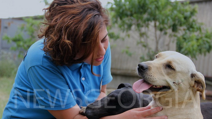 Выжившие: Приют для бездомных собак в Тбилиси - ФОТОСЕССИЯ