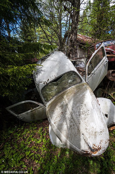 Необычное кладбище заброшенных авто в Швеции – ФОТО