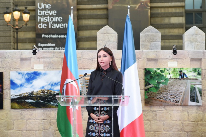 Первая леди Мехрибан Алиева: "Азербайджан и Франция наладили успешное сотрудничество во всех сферах" - ОБНОВЛЕНО - ФОТО