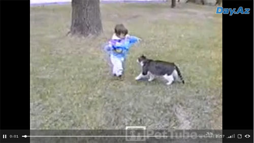 Кошка толкает ребенка и не дает ему встать - ВИДЕО