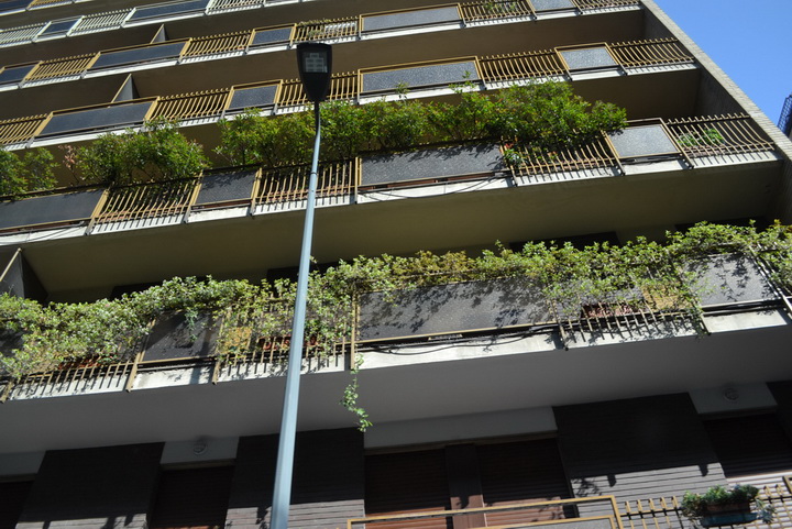 Милан: Тропический лес в… жилых зданиях - ФОТО