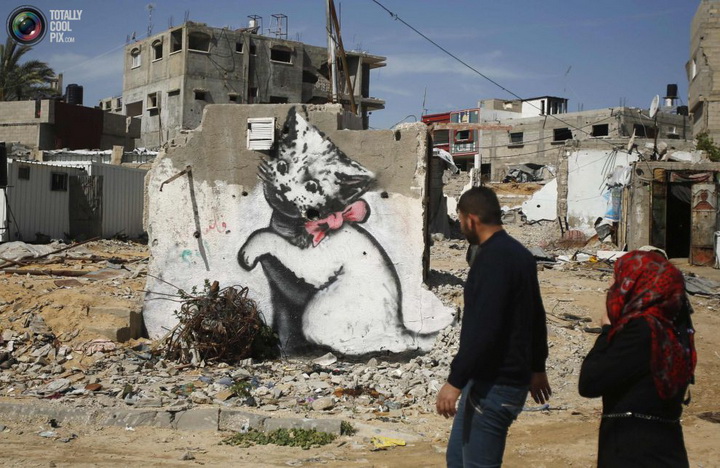 Бэнкси в секторе Газа: граффити лишь на одной стене дома - ФОТОСЕССИЯ