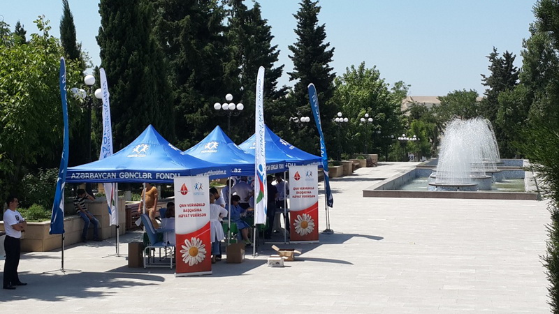 Qanvermə aksiyası uğurla davam edir - FOTO