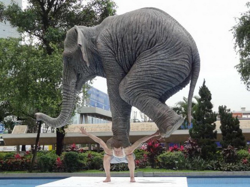 Самая огромная 18. Скульптура слона. Необычное искусство. Гигантские скульптуры. Странные фигуры.