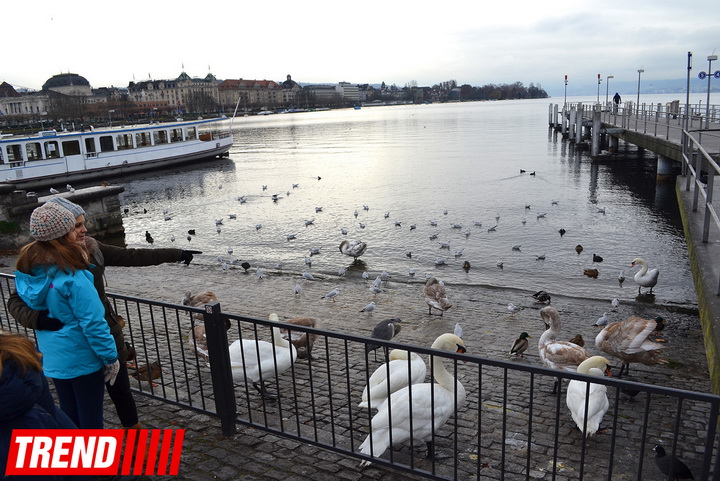 Красочный рождественский Цюрих глазами азербайджанца – ФОТО