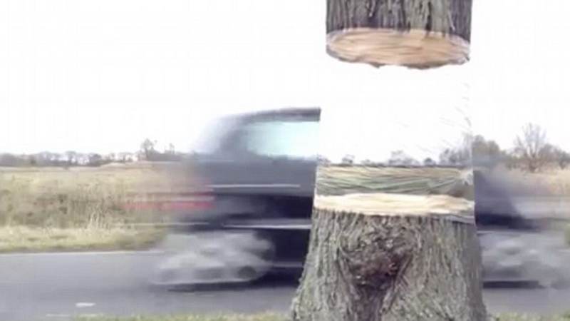 Оптическая иллюзия: дерево, витающее в воздухе - ФОТО