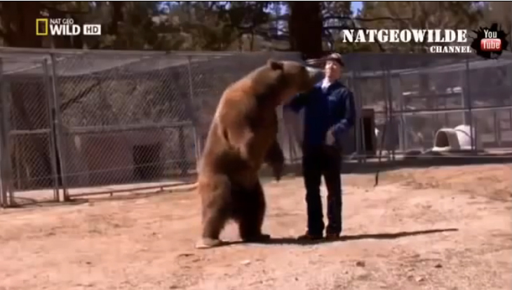 Медведь убил мужчину прямо перед камерой - ВИДЕО
