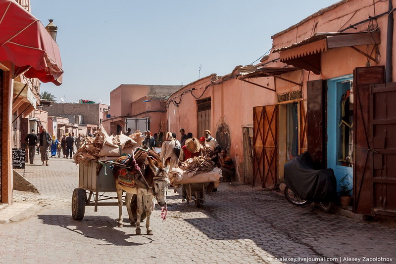 Марокко: как изготавливают натуральную кожу - ФОТОСЕССИЯ