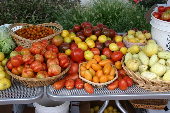 10 полезных свойств помидоров - ФОТОСЕССИЯ