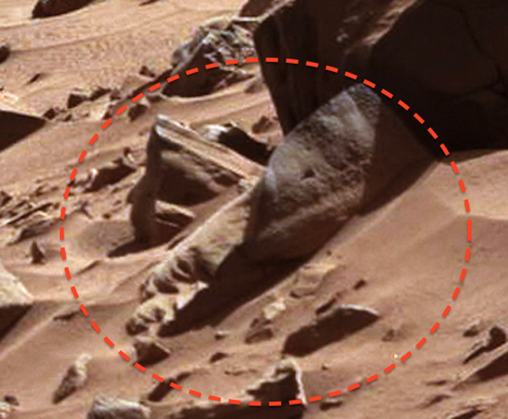 Сенсация: вот как выглядел на самом деле марсианин - ФОТО