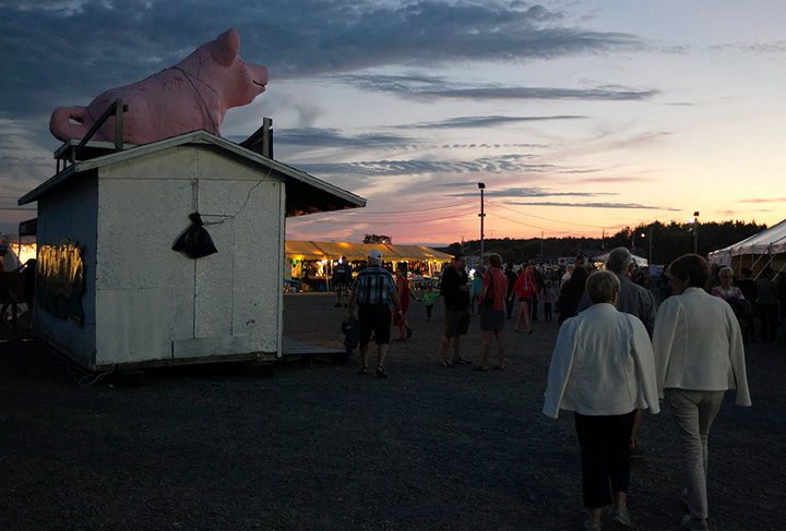 Конкурс грязной свиньи в Канаде - ФОТО