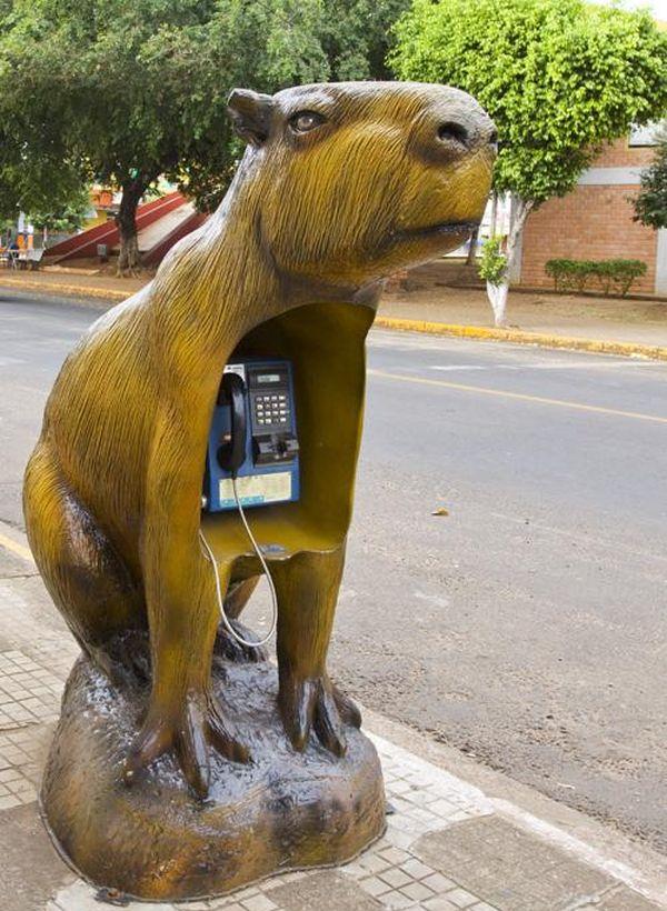 Необычные бразильские телефонные будки - ФОТОСЕССИЯ