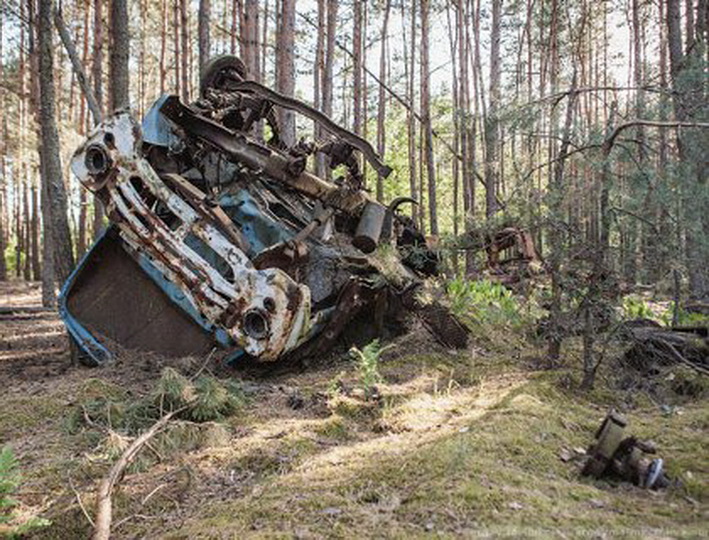 25 лучших фотографий National Geographic 2015 - ФОТОСЕССИЯ