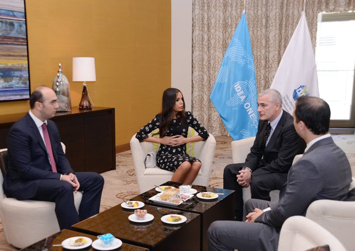 Вице-президент Фонда Гейдара Алиева Лейла Алиева провела встречи с представителями ряда международных организаций – ОБНОВЛЕНО - ФОТО