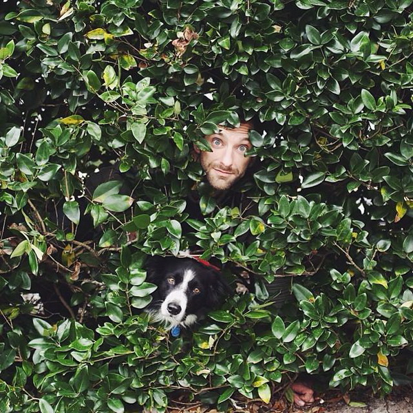 "Найдите Момо": необычный проект с собакой-"невидимкой" - ФОТО