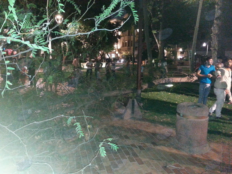 В центре Баку дерево чуть не покалечило людей - ФОТО