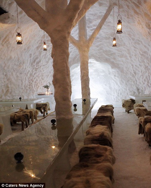 Этот отель снежных иглу выдает "дипломы" выжившим туристам - ФОТО