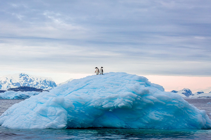 25 лучших фотографий National Geographic 2015 - ФОТОСЕССИЯ