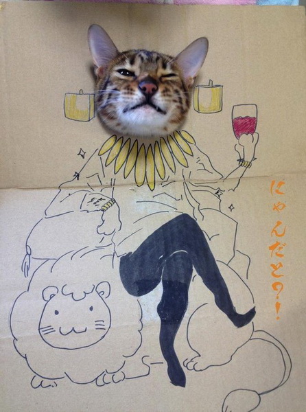 Забавный картонный косплей одной кошки - ФОТО