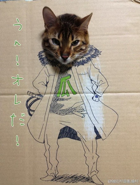 Забавный картонный косплей одной кошки - ФОТО