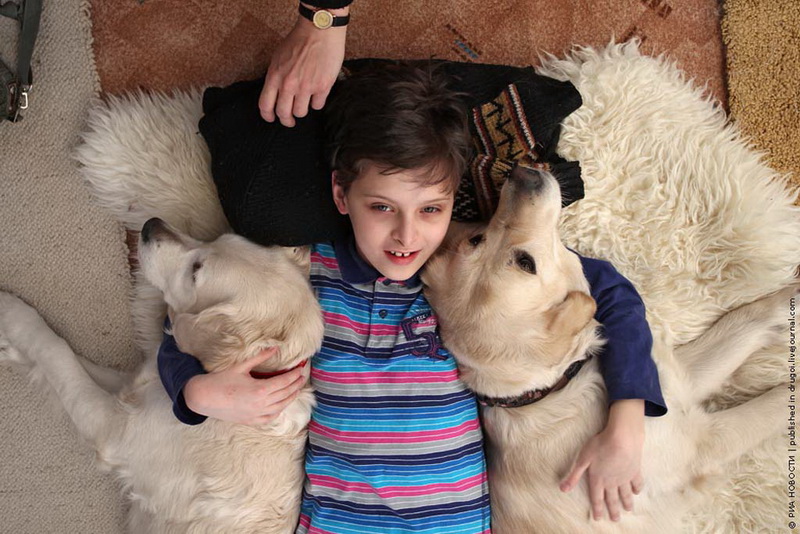 Канис-терапия: как собаки помогают больным детям - ФОТОСЕССИЯ