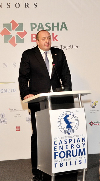 В Грузии прошел II международный Caspian Energy Forum-2014 - ФОТО