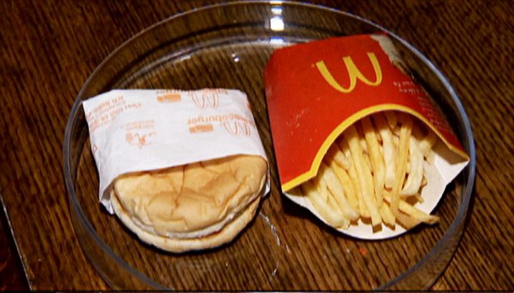 Вот как выглядят 6-летние чизбургер и картофель фри - ФОТО
