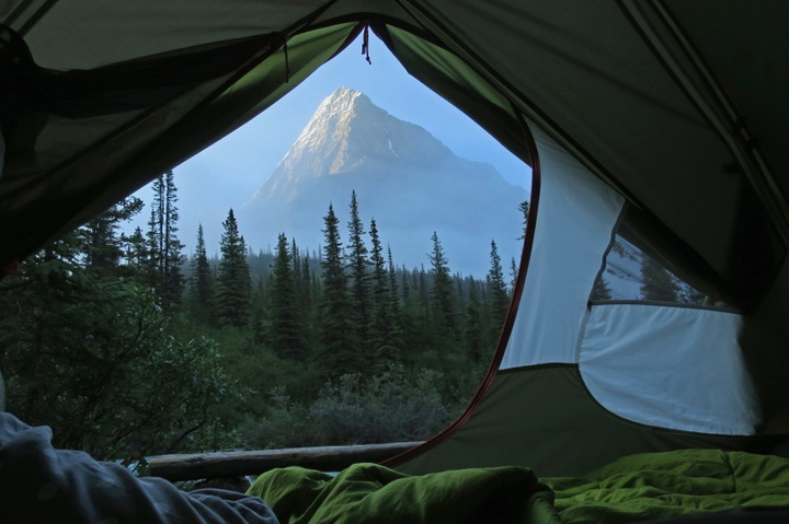Завораживающее зрелище: утренние виды из палатки - ФОТО