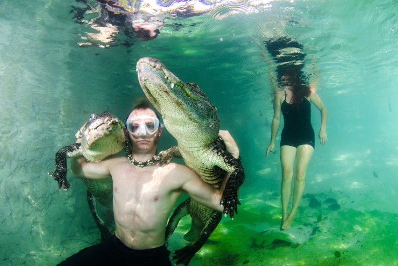 Отважный персонал плавает с аллигаторами - ФОТОСЕССИЯ