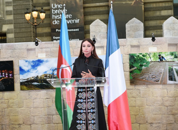 Первая леди Мехрибан Алиева: "Азербайджан и Франция наладили успешное сотрудничество во всех сферах" - ОБНОВЛЕНО - ФОТО