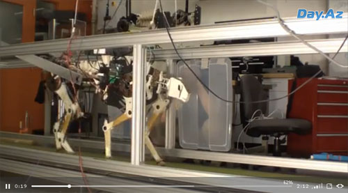 Ученые испытали четырехногого робота-гепарда - ВИДЕО