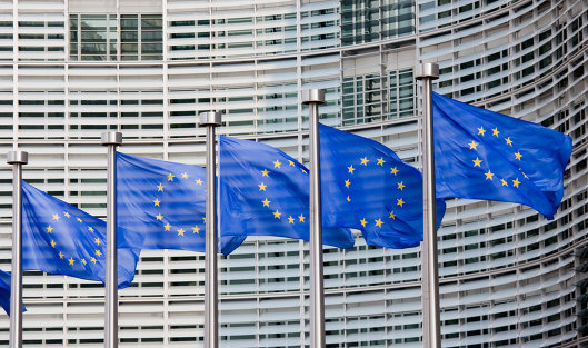 ЕС может продлить ограничения на поездки до 15 мая