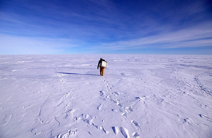 Путешествие в Антарктиду - ФОТОСЕССИЯ