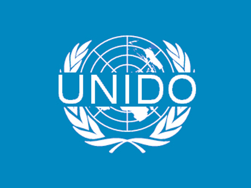 Бизнес план по unido