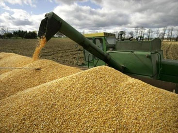 США обсуждают зерновую сделку без России