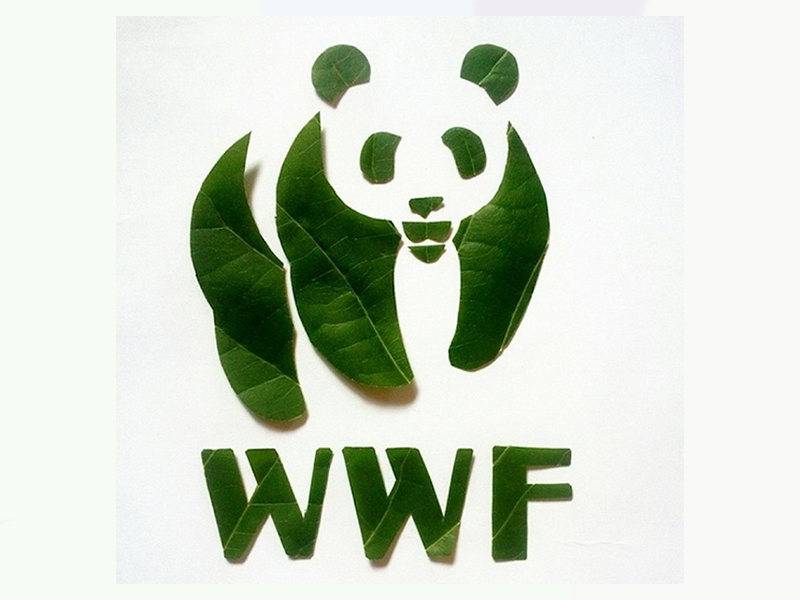 Символ дикой природы. Всемирный фонд дикой природы WWF. Всемирный фонд дикой природы эмблема. Панда символ Всемирного фонда дикой природы. Всемирный фронт дикой природы.